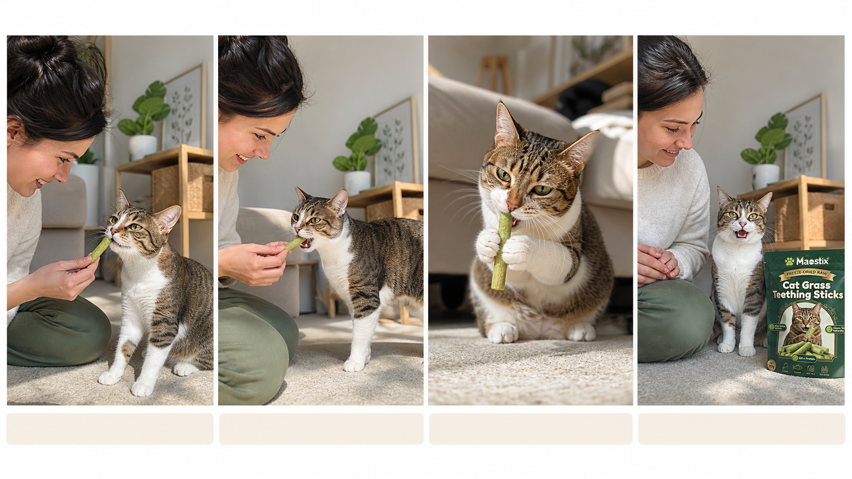 Four moments in a Maostix chewing routine