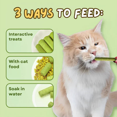 Maostix Cat Grass Teething Sticks
