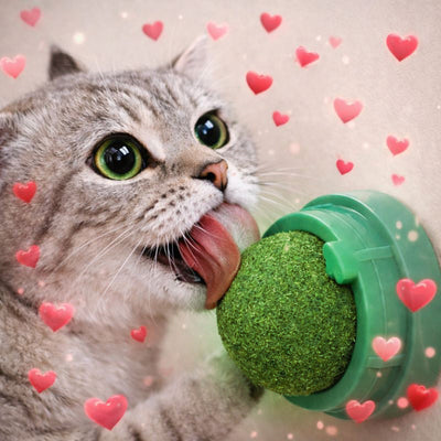 Maostix Catnip Ball Roller (3 Pack)