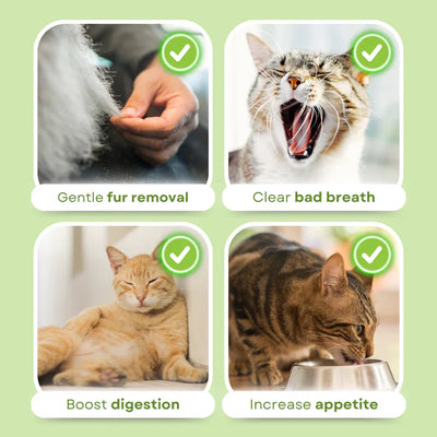 Cat Grass Teething Sticks [Free Today]