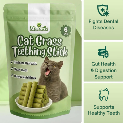 Cat Grass Teething Sticks [Free Today]