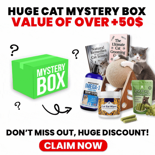 HUGE CAT MYSTERY BOX (50$+ VALUE)