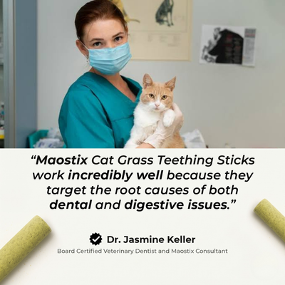 Maostix Cat Grass Teething Sticks