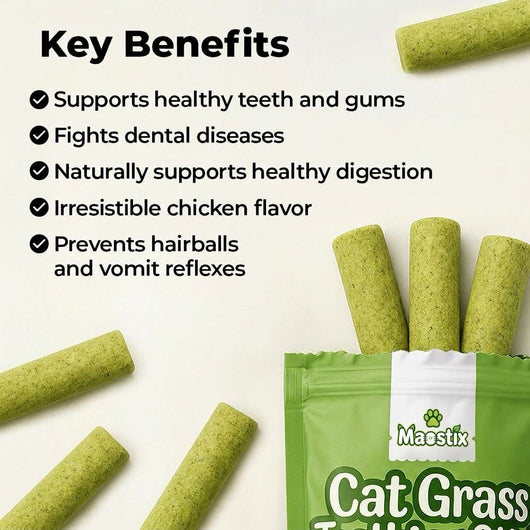 Cat Grass Teething Sticks [Free Today]
