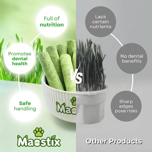 Cat Grass Teething Sticks [Free Today]