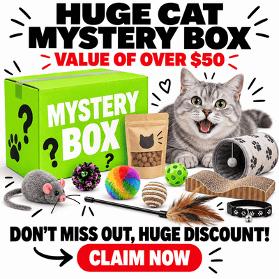 Neon green mystery box beside a cat and assorted cat toys