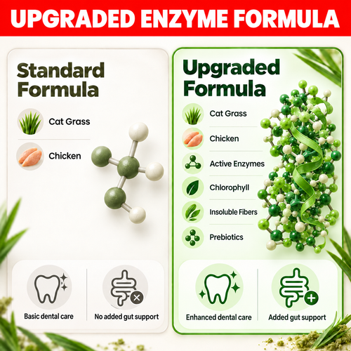 Upgrade To Premium Enzyme Formula [All Packs]