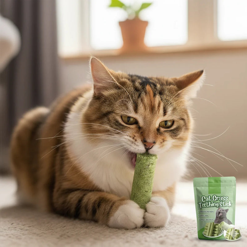 The Vet-Recommended Cat Treat