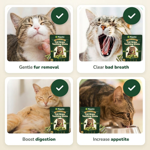 Cat Grass Teething Sticks — One-Time Pack