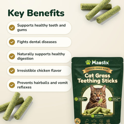 Cat Grass Teething Sticks